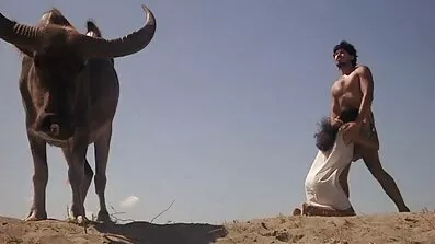 ક્રિસ કેનન