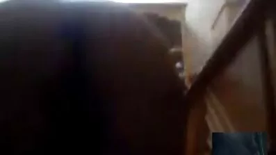 માઇક એડ્રિઆનો