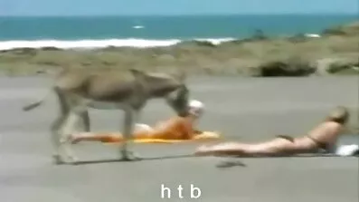 મિસ્ટર
